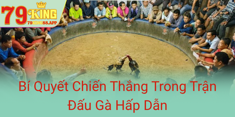 Bi Quyet Chien Thang Trong Tran Dau Ga Hap Dan0