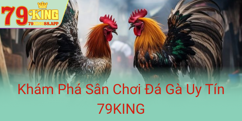 Kham Pha San Choi Da Ga Uy Tin 79King0
